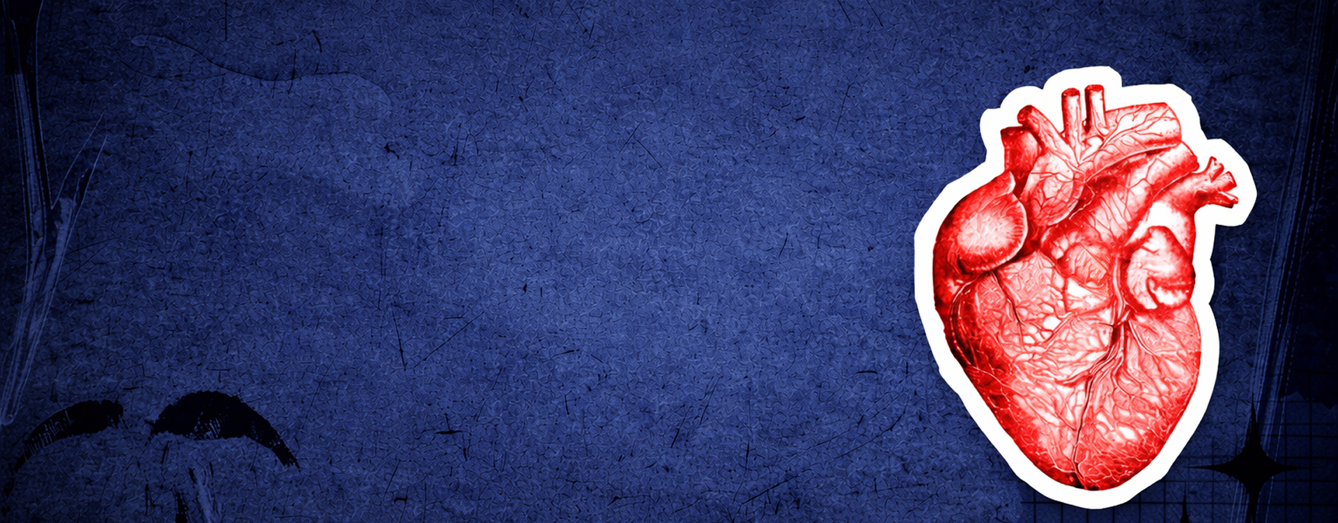 Discover the Truth About Weight